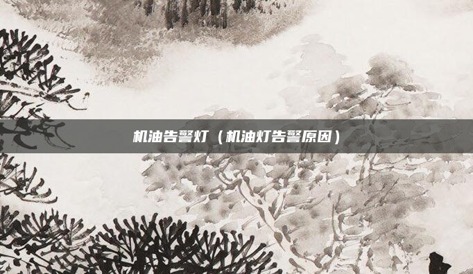 机油告警灯(机油灯告警原因)