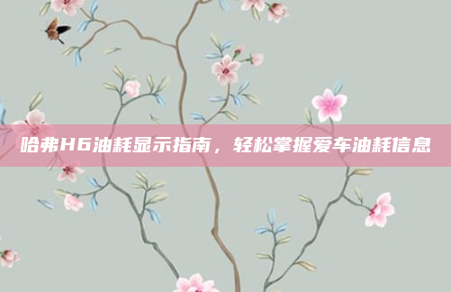 哈弗H6油耗显示指南,轻松掌握爱车油耗信息