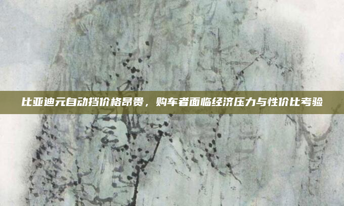 比亚迪元自动挡价格昂贵,购车者面临经济压力与性价比考验