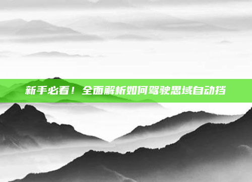 新手必看！全面解析如何驾驶思域自动挡