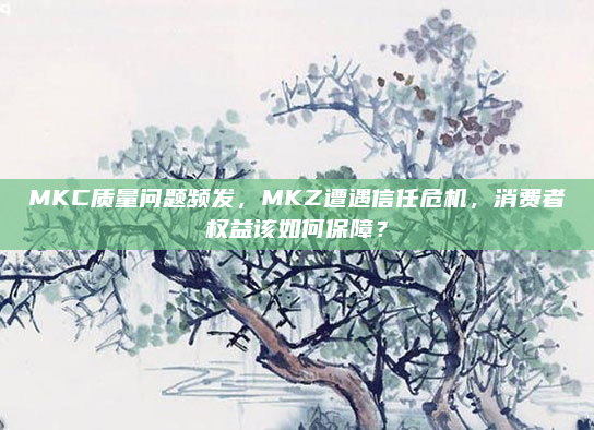 MKC质量问题频发，MKZ遭遇信任危机，消费者权益该如何保障？