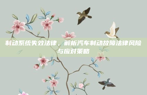 制动系统失效法律,解析汽车制动故障法律风险与应对策略