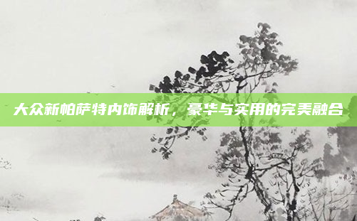 大众新帕萨特内饰解析,豪华与实用的完美融合