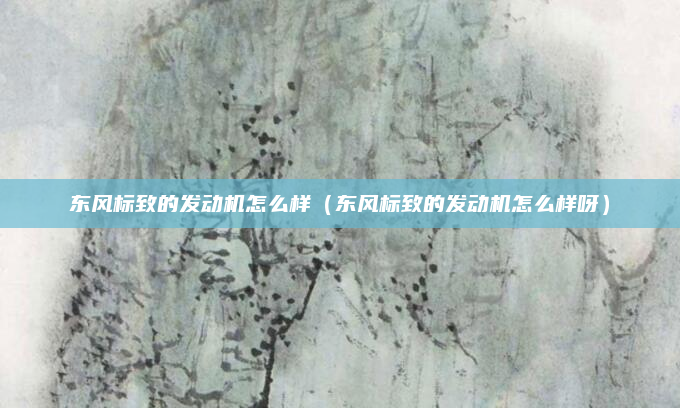 东风标致的发动机怎么样(东风标致的发动机怎么样呀)