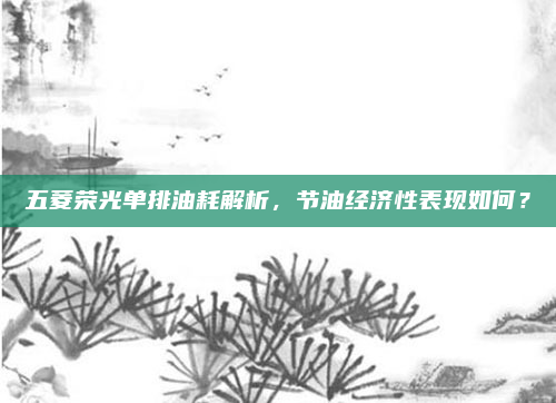 五菱荣光单排油耗解析,节油经济性表现如何?