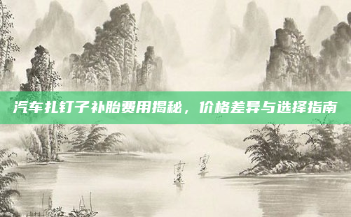 汽车扎钉子补胎费用揭秘，价格差异与选择指南