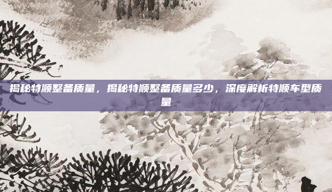 揭秘特顺整备质量，揭秘特顺整备质量多少，深度解析特顺车型质量