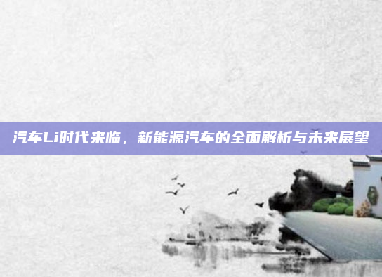 汽车Li时代来临,新能源汽车的全面解析与未来展望