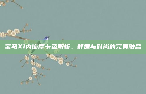 宝马X1内饰摩卡色解析,舒适与时尚的完美融合