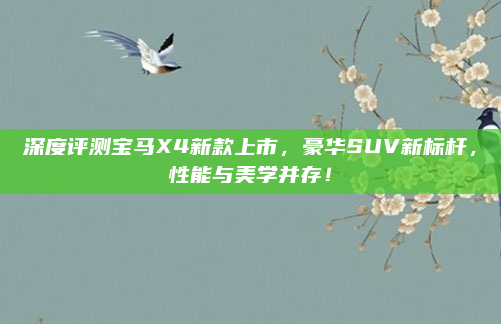深度评测宝马X4新款上市,豪华SUV新标杆,性能与美学并存!