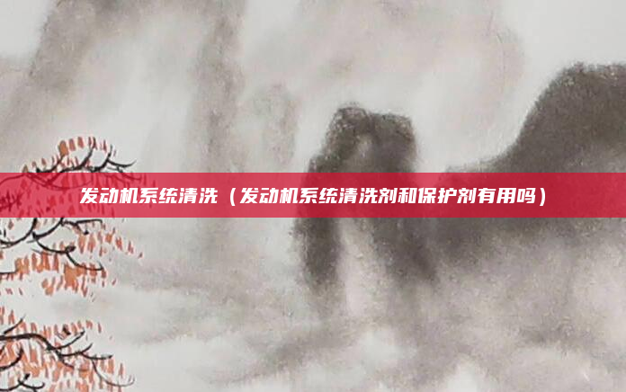 发动机系统清洗(发动机系统清洗剂和保护剂有用吗)