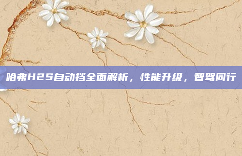 哈弗H2S自动挡全面解析，性能升级，智驾同行