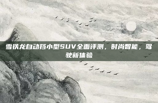 雪铁龙自动挡小型SUV全面评测,时尚智能,驾驶新体验