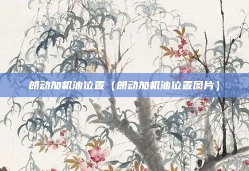 朗动加机油位置(朗动加机油位置图片)