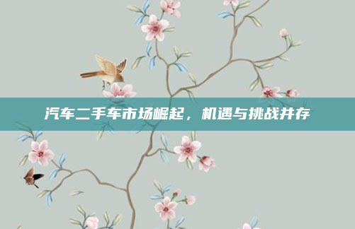 汽车二手车市场崛起，机遇与挑战并存