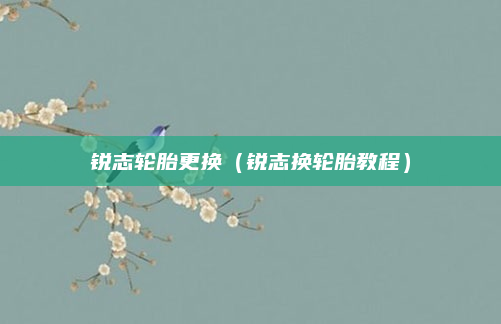 锐志轮胎更换(锐志换轮胎教程)