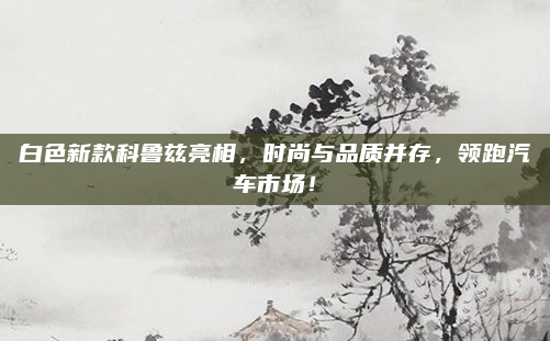 白色新款科鲁兹亮相,时尚与品质并存,领跑汽车市场!