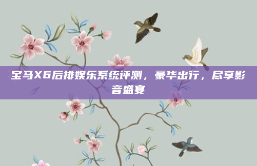 宝马X6后排娱乐系统评测，豪华出行，尽享影音盛宴