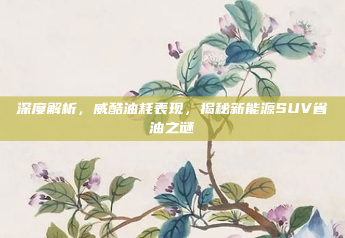 深度解析,威酷油耗表现,揭秘新能源SUV省油之谜