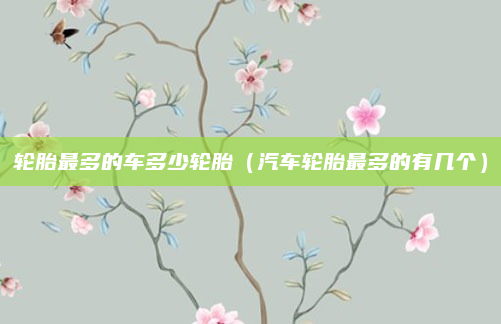 轮胎最多的车多少轮胎(汽车轮胎最多的有几个)