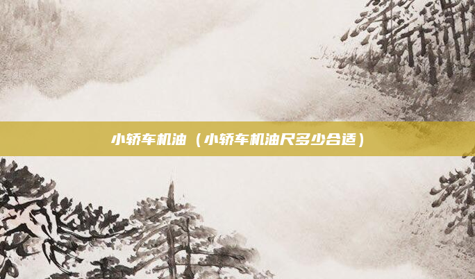 小轿车机油(小轿车机油尺多少合适)