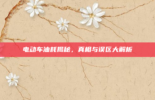 电动车油耗揭秘,真相与误区大解析