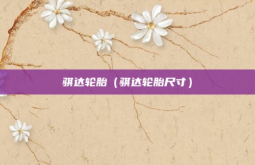 骐达轮胎(骐达轮胎尺寸)