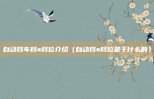 自动挡车档s档位介绍(自动挡s档位是干什么的)