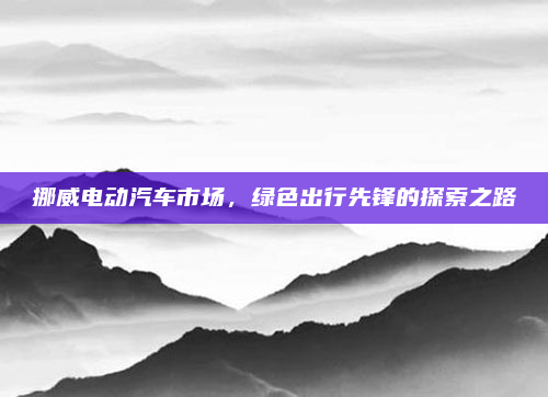 挪威电动汽车市场，绿色出行先锋的探索之路
