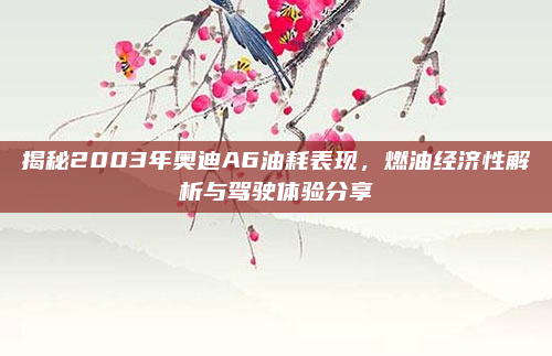 揭秘2003年奥迪A6油耗表现,燃油经济性解析与驾驶体验分享