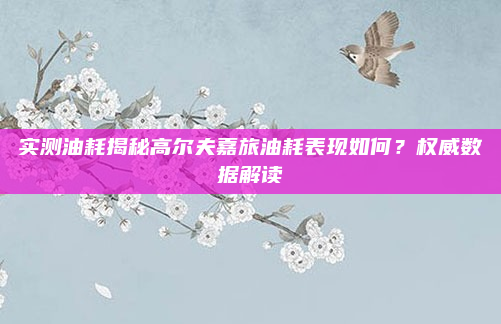 实测油耗揭秘高尔夫嘉旅油耗表现如何?权威数据解读