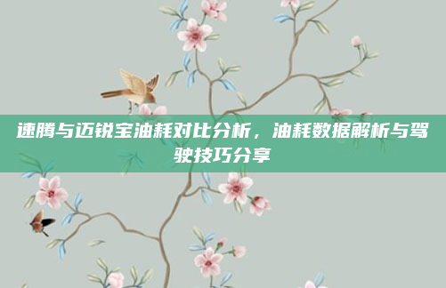 速腾与迈锐宝油耗对比分析,油耗数据解析与驾驶技巧分享