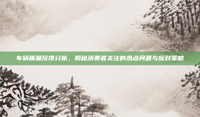 车辆质量反馈分析,揭秘消费者关注的热点问题与应对策略