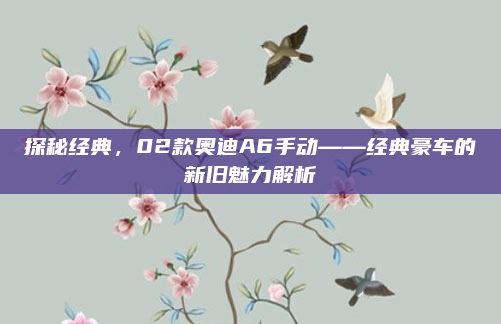 探秘经典,02款奥迪A6手动——经典豪车的新旧魅力解析
