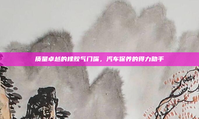 质量卓越的橡胶气门嘴，汽车保养的得力助手
