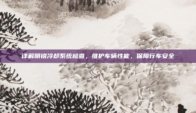 详解明锐冷却系统检查，维护车辆性能，保障行车安全