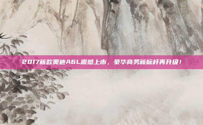 2017新款奥迪A6L震撼上市，豪华商务新标杆再升级！