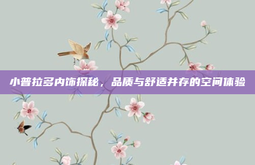 小普拉多内饰探秘,品质与舒适并存的空间体验