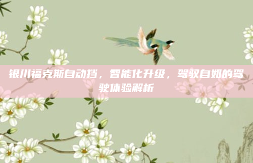 银川福克斯自动挡,智能化升级,驾驭自如的驾驶体验解析