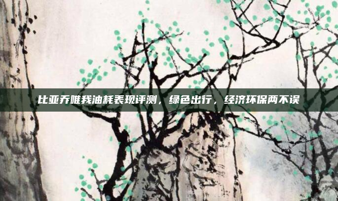 比亚乔唯我油耗表现评测,绿色出行,经济环保两不误