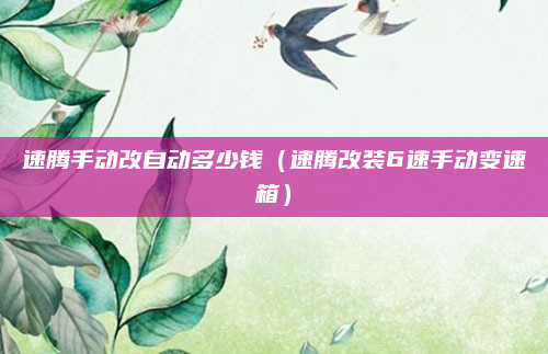 速腾手动改自动多少钱（速腾改装6速手动变速箱）