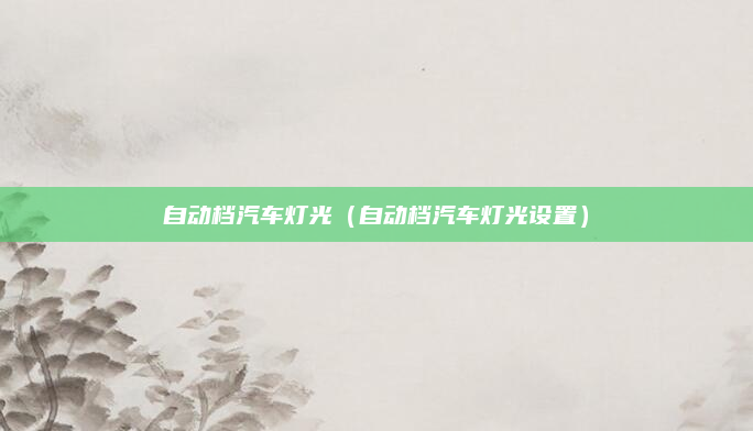 自动档汽车灯光（自动档汽车灯光设置）