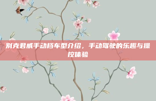 别克君威手动档车型介绍，手动驾驶的乐趣与操控体验
