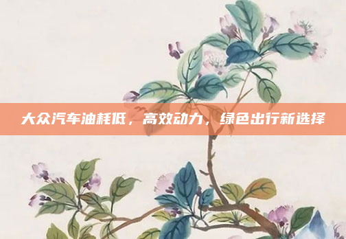 大众汽车油耗低,高效动力,绿色出行新选择