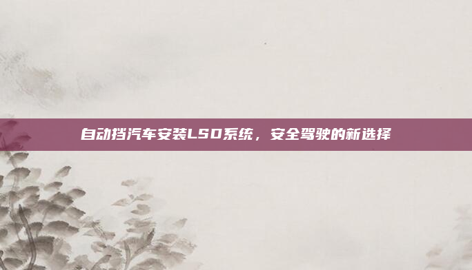 自动挡汽车安装LSD系统,安全驾驶的新选择