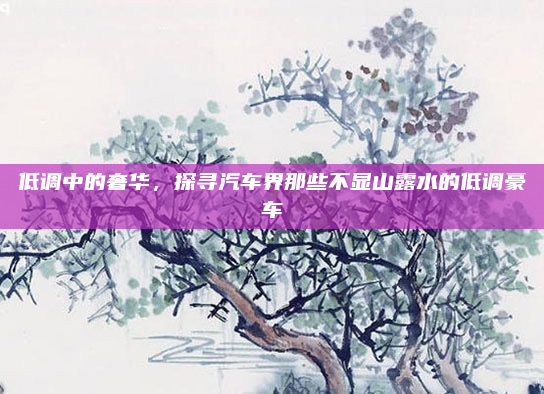 低调中的奢华,探寻汽车界那些不显山露水的低调豪车