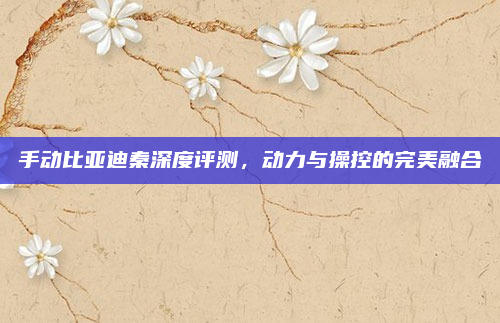 手动比亚迪秦深度评测，动力与操控的完美融合