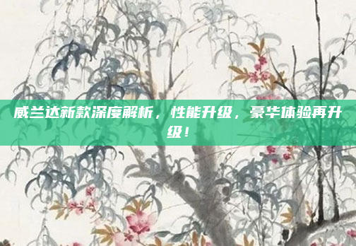威兰达新款深度解析，性能升级，豪华体验再升级！
