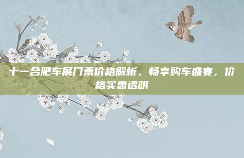 十一合肥车展门票价格解析,畅享购车盛宴,价格实惠透明
