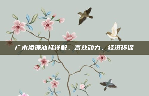 广本凌派油耗详解,高效动力,经济环保